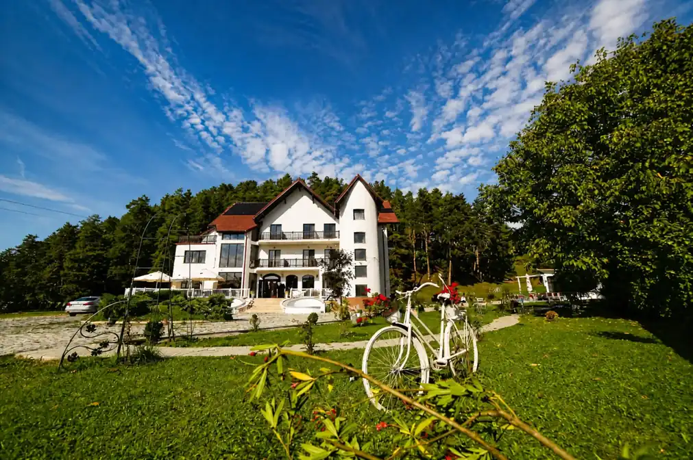 Exteriorul Pensiunii Baroc în peisajul rural din Teliu — hero panoramic